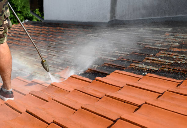 Best Concrete Pressure Washing  in Pleasant Hill, IA