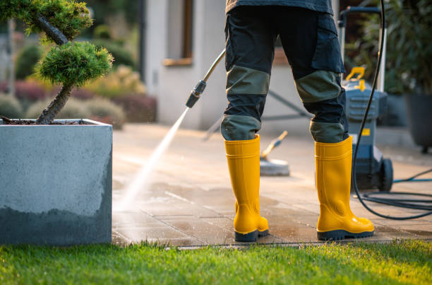 Best Pressure Washing Company Near Me  in Pleasant Hill, IA